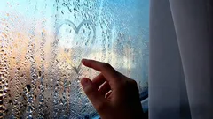 窓の結露やカビがなくなる：結露対策の4つの簡単な方法